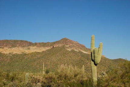 nice-desert-scene